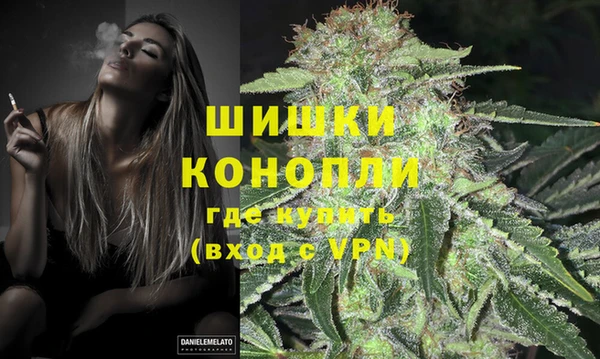 крисы Ладушкин